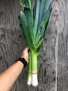 Leeks - Bunch ~2lb