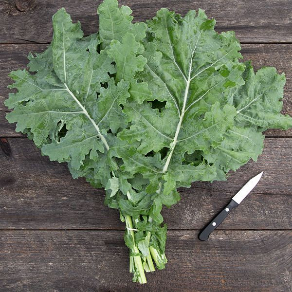 Kale (Siberian) - Case of 12