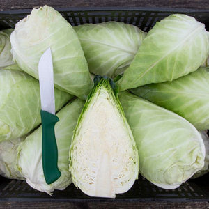 Cabbage, Cone