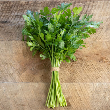 Herb, Parsley (Flat Leaf) - case of 12