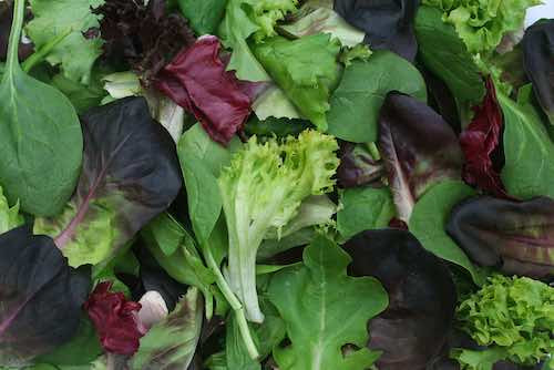 Greens, Salad mix, case of 3lb
