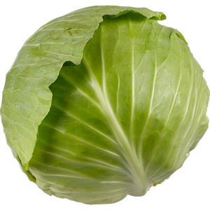 Green Cabbage