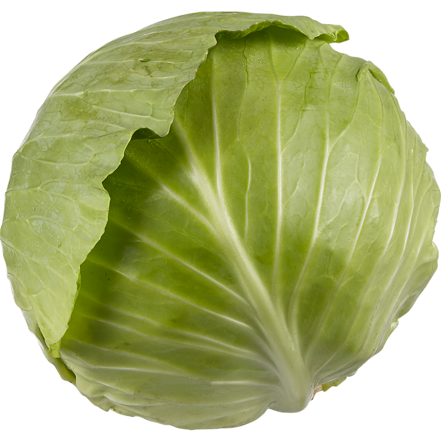 Green Cabbage