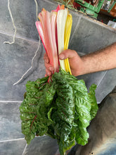 Load image into Gallery viewer, Rainbow Swiss Chard- Case of 12
