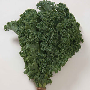 Kale (Green Curly/Winterbor) - Bunch 12oz