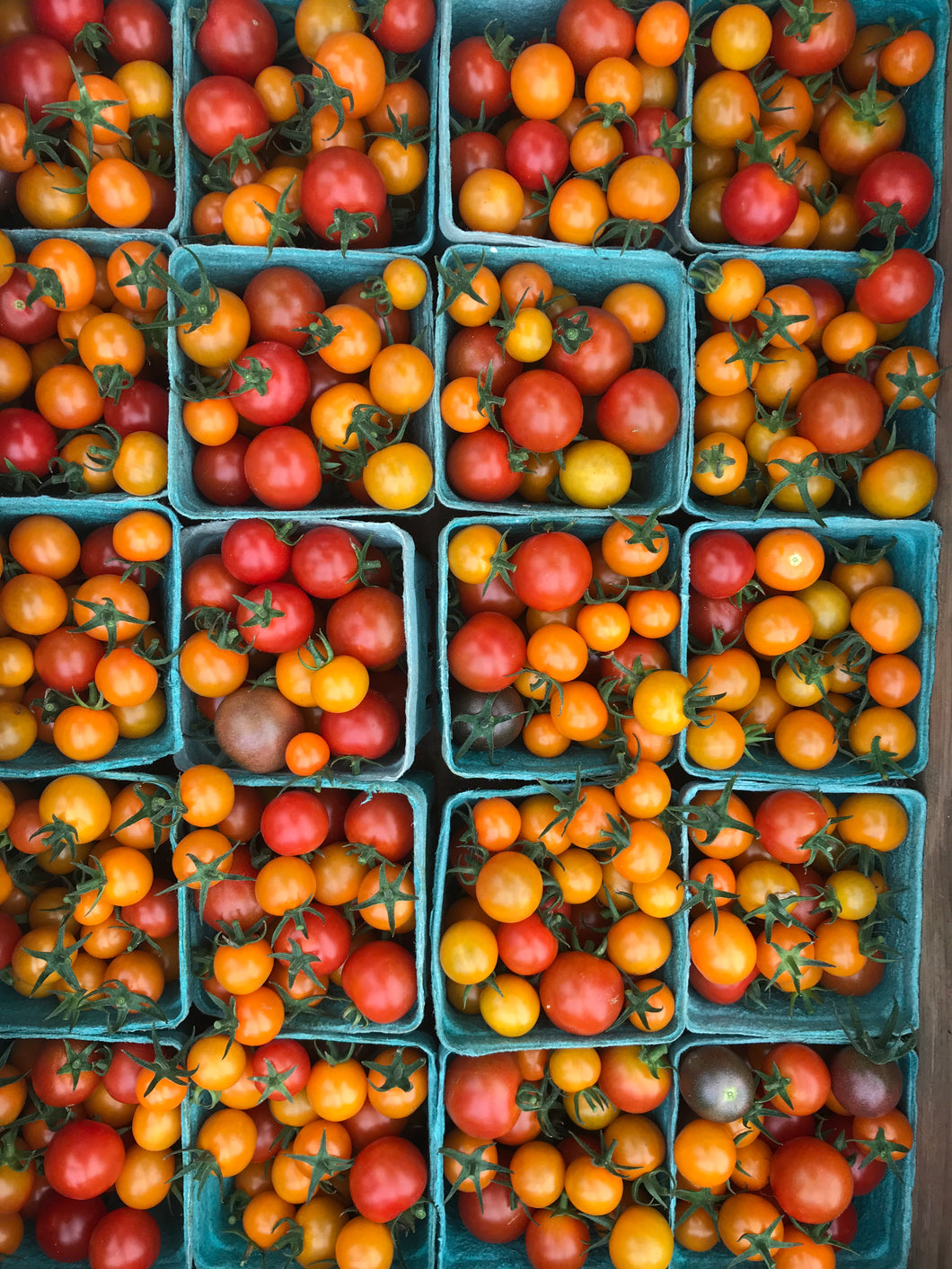 Tomatoes, Cherry Mix - Flat (12 pints)